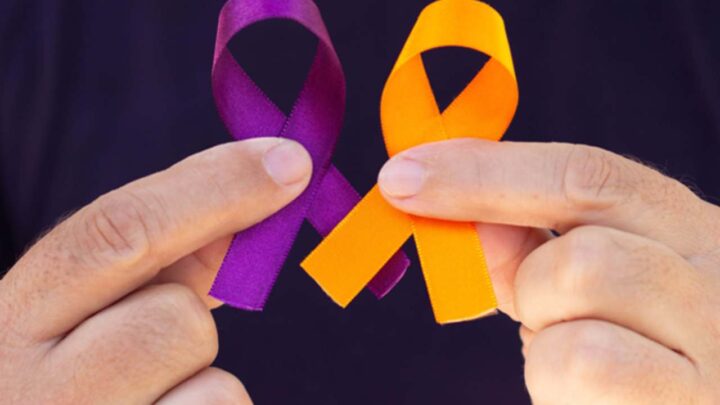 Fevereiro Roxo e Laranja